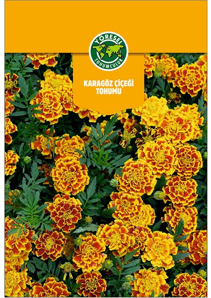 Karagöz