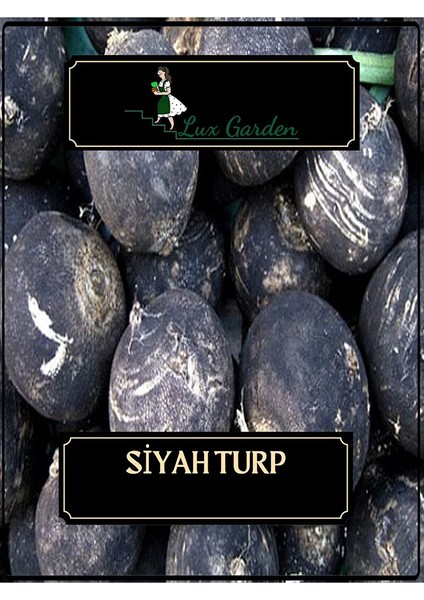 Siyah Turp Tohumu 80 Adet