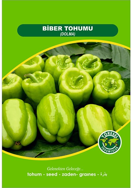Biber Dolma