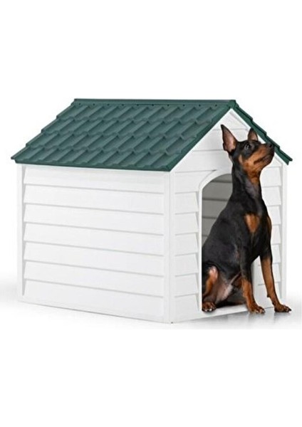 SY-5100 Dış Mekan Plastik Pet Köpek Kulubesi Yeşil-Beyaz