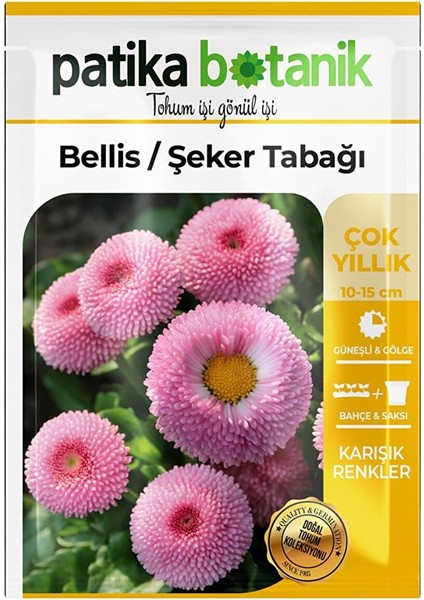 20 Adet Bellis - Şeker Tabağı Tohumu
