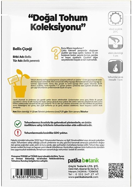 20 Adet Bellis - Şeker Tabağı Tohumu