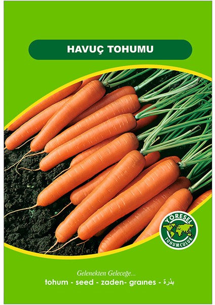 Havuç