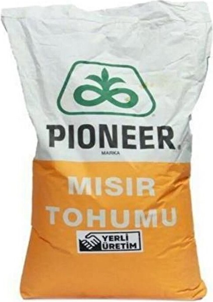 Slaj Mısır Tohumu P2183 50.000 Adet