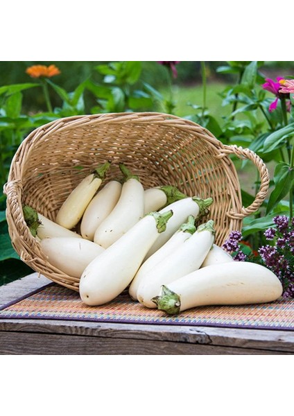 Casper Long Beyaz Etli Patlıcan Tohumu (15 Tohum) fiyatları