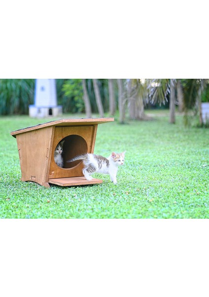 Ahşap Mini Kedi Evi-Yeni Doğan Evi