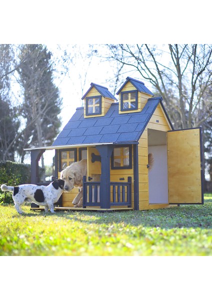 Ultra Lüks Ahşap Köpek Kulübesi (Evi) (Gold Edition)