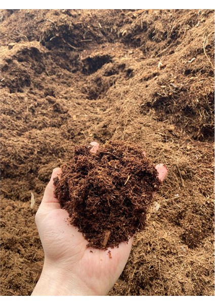 4 Adet 240 - 260 Lt Sıkıştırılmış Hindistan Cevizi Torfu - Ithal Blok Organik Cocopeat Kokopit 4 Adet