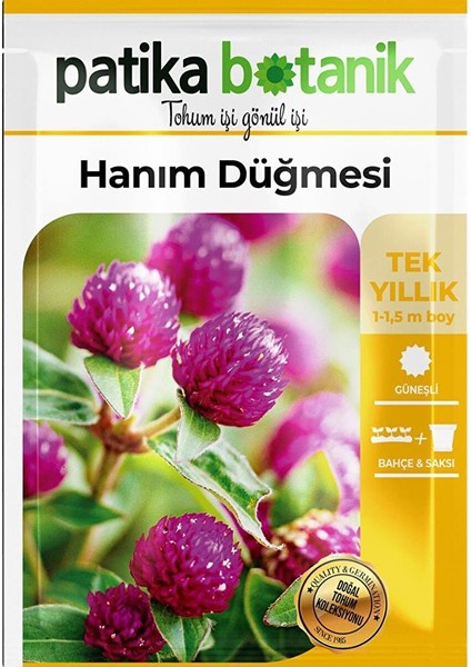 20 Adet Hanım Düğmesi Tohumu