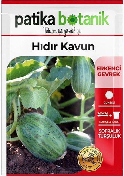 20 Adet Hıdır Kavun Tohumu
