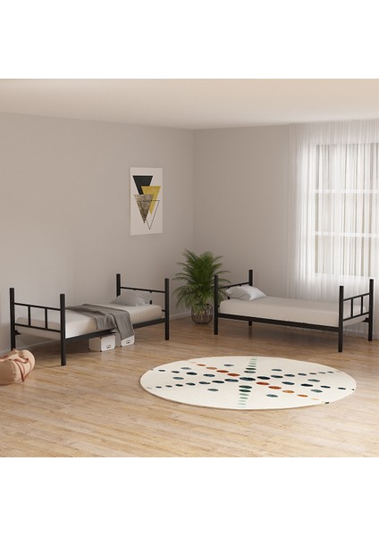 Ranza, 100X200 cm Defne Ranza, Metal Ranza, Ayrılabilir, Siyah Renk fırsatları