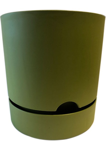 Begonya Saksı Yeşil 21 cm