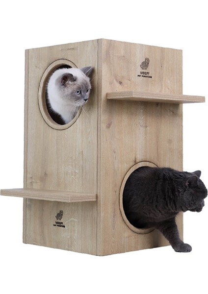 Catsy Kedi Evi 15A