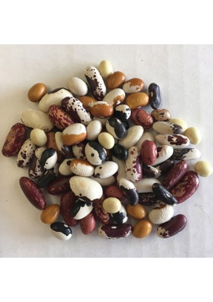 Geleneksel Mixed Fasulye Tohumları (10 Tohum)