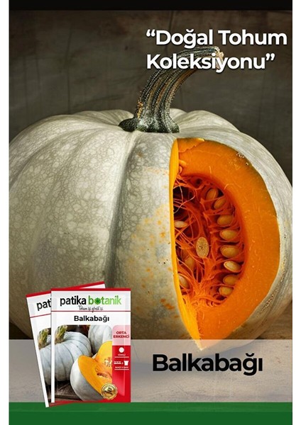 15 Adet Balkabağı Tohumu