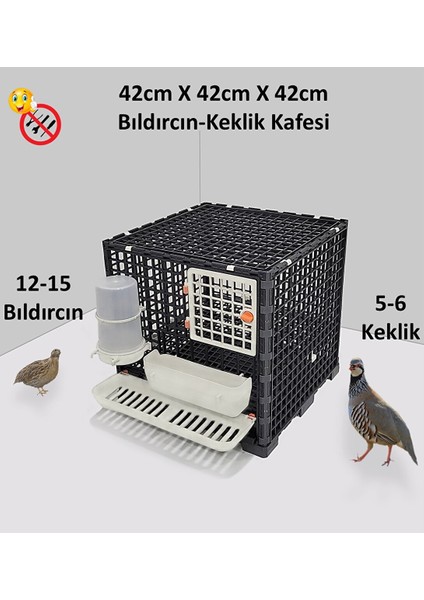 Bıldırcın, Keklik, Yarka Kafesi Ekox1 Beyaz Kahverengi