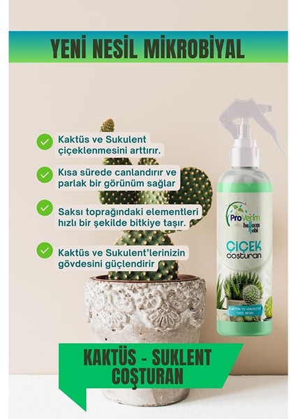 Kaktüs ve Sukulent Için Çiçek Coşturan Özel Bitki Besini. Kaktüs ve Sukulentlerinize Canlılık Katın modelleri
