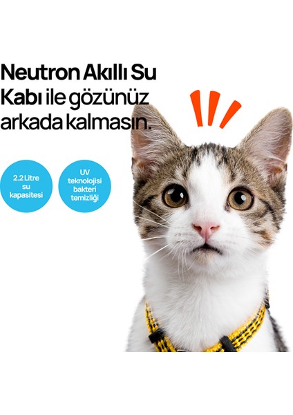 Evcil Hayvan Akıllı Su Kabı, Ultraviyole Işık Su Temizleme Teknolojisi indirimleri