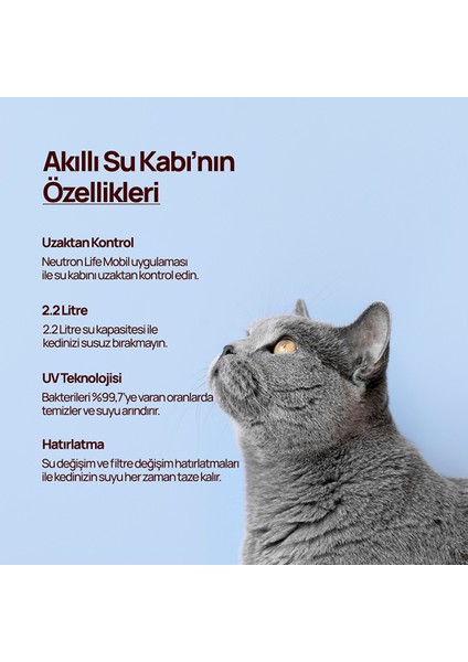 Evcil Hayvan Akıllı Su Kabı, Ultraviyole Işık Su Temizleme Teknolojisi
