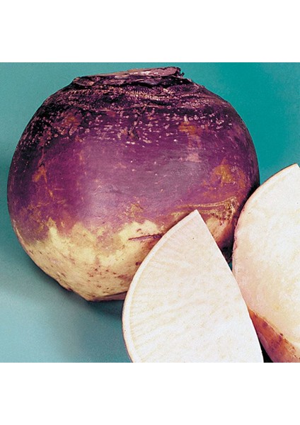 Doğal Purple Top Amrikano Şalgam Tohumu( 30 Tohum)