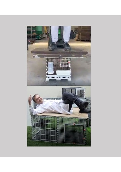 100CM x 50CM x 50CM Kedi, Köpek, Tavşan, Ginepig, Eğitim, Oyun Çiti ve Kafesi