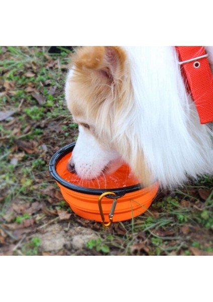 Renkli Katlanabilir Silikon Mama ve Su Kabı, Seyahat ve Anahtarlıklı Kullanım fiyatları