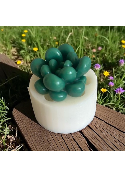 Moonstone Sukulent Silikon Kalıp