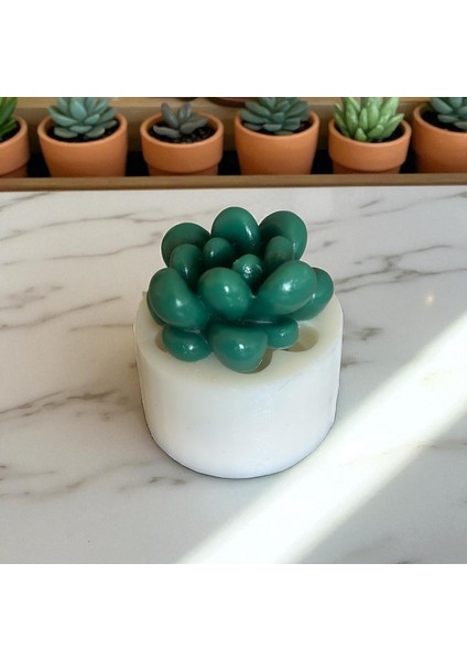 Moonstone Sukulent Silikon Kalıp fırsatları