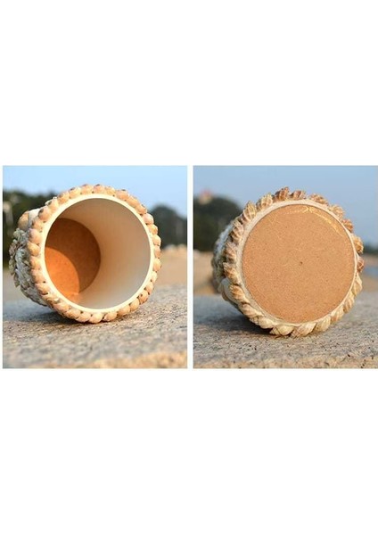 Deniz Kabuğu Kalem Tutucu Süsleri (Yurt Dışından) modelleri