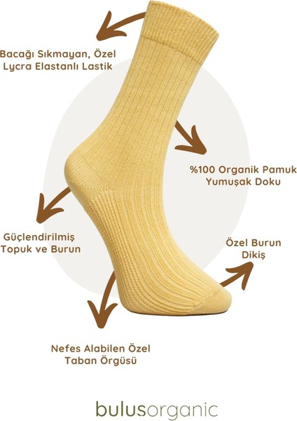 3'lü Çok Renkli Organik Pamuk Soket Çorap– Unisex, Yumuşak ve Nefes Alabilir, Sıkmayan, Ter Emici, Hassas Ciltler Için Gün Boyu Konfor modelleri