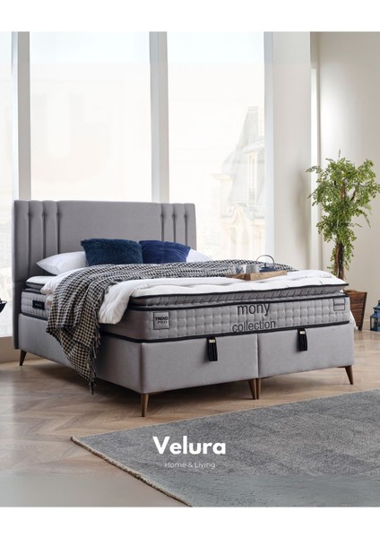 Trendy Ped Tek Kişilik Yatak Baza Başlık Seti (140 x 190)