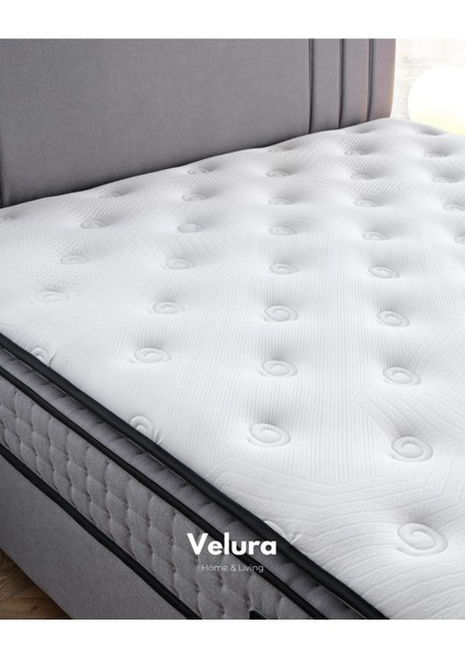 Trendy Ped Tek Kişilik Yatak Baza Başlık Seti (140 x 190)
