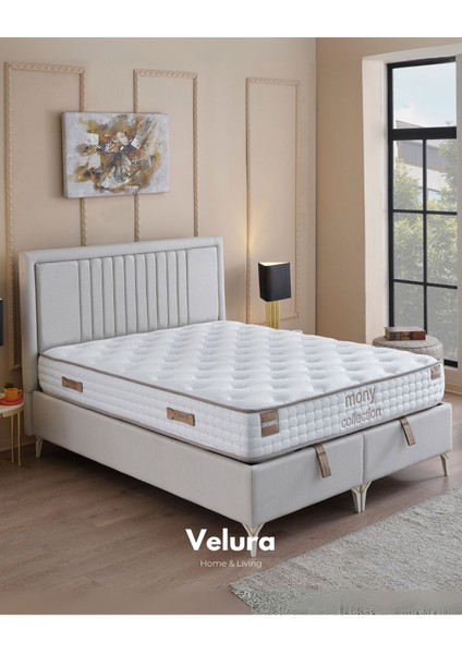 Dreamwell Tek Kişilik Yatak Baza Başlık Seti (100 x 200)