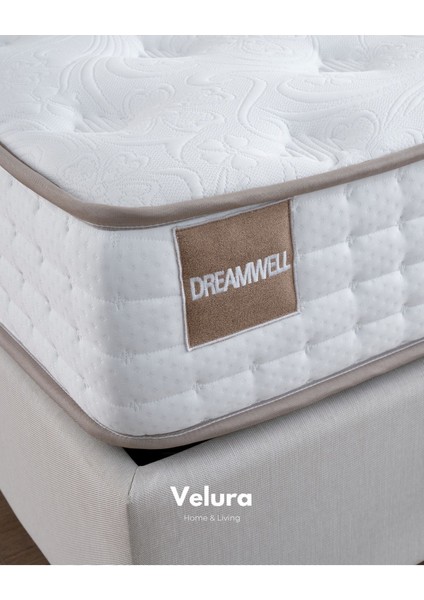 Dreamwell Tek Kişilik Yatak Baza Başlık Seti (100 x 200)