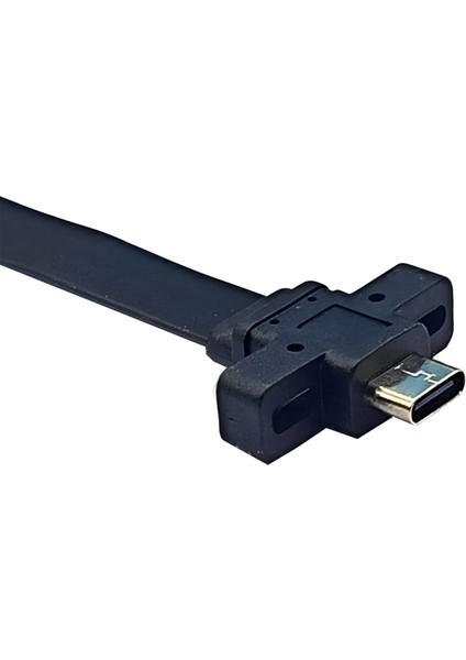 Usb3.2 GEN2X2 Kartı Hat Tipi-E Terminali Tip-C Ön C Ana 10G/20GBPS Düz Tel 30CM (Yurt Dışından)