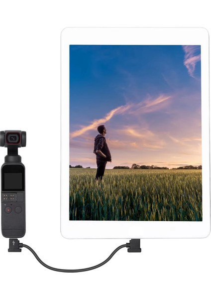 Djı Mavic Mini/se/mavic 2/mavic Pro/air Type C Için Uzaktan Kumanda Veri Kablosu Ios Bağlantı Hattı Iphone/ıpad Için (Yurt Dışından) fiyatları