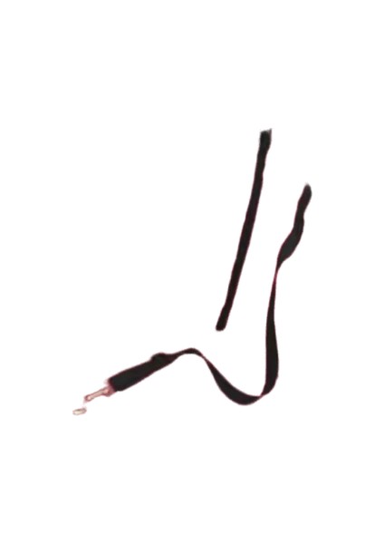 Köpek Araba Koltuğu Kapağı Katlanır Hamak Pet Taşıma Çantası Sepet Taşıma Kedi Kararlı Katlanabilir Seyahat Pet Köpek Araba Koltuğu (Yurt Dışından)