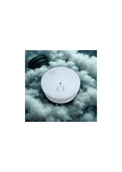 Duman Dedektörü ( Pilli ) CT-9451 fiyatları