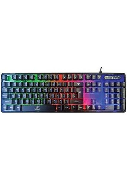 DKA010 KBL707 Mekanik Rgb Hisli Şeffaf Klavye