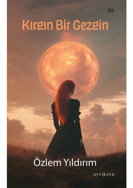 Kırgın Bir Gezgin