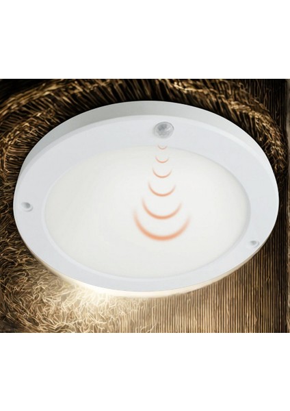 20W Sensörlü Sıva Üstü LED Armatür (Günışığı) CT-9247G