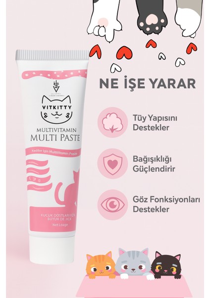 Kediler Için Multivitamin Malt Macun 100 gr (Multivitamin Paste ) fiyatları