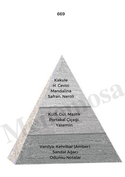 NO:669 + NO:669 Erkek Parfüm Edp 50 ml Woody - MNMS50NO6692 fiyatları