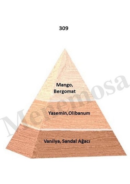 309 Parfüm Edp 50 ml Floral fiyatları