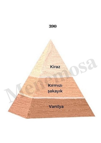 390 Kadın Parfüm Edp 50 ml Floral - MNMS50390 fiyatları