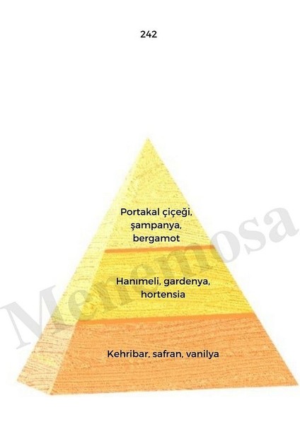 242 Kadın Parfüm Edp 50 ml Oriental - MNMS50242 fiyatları