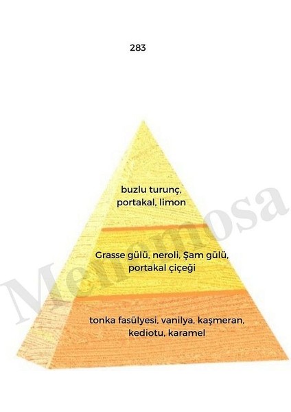 283 Kadın Parfüm Edp 50 ml Oriental - MNMS50283 fiyatları