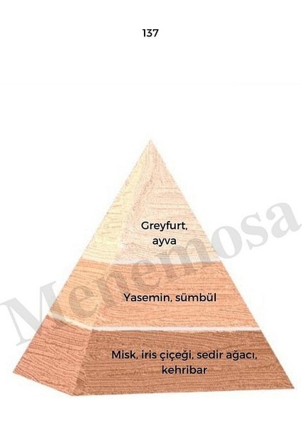 137 Kadın Parfüm Edp 50 ml Floral - MNMS50137 fiyatları