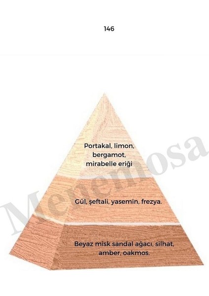 146 Kadın Parfüm Edp 50 ml Floral - MNMS50146 fiyatları