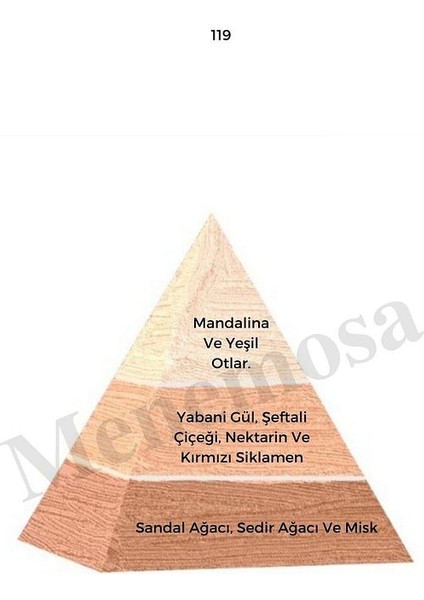 119 Kadın Parfüm Edp 50 ml Floral - MNMS50119 fiyatları